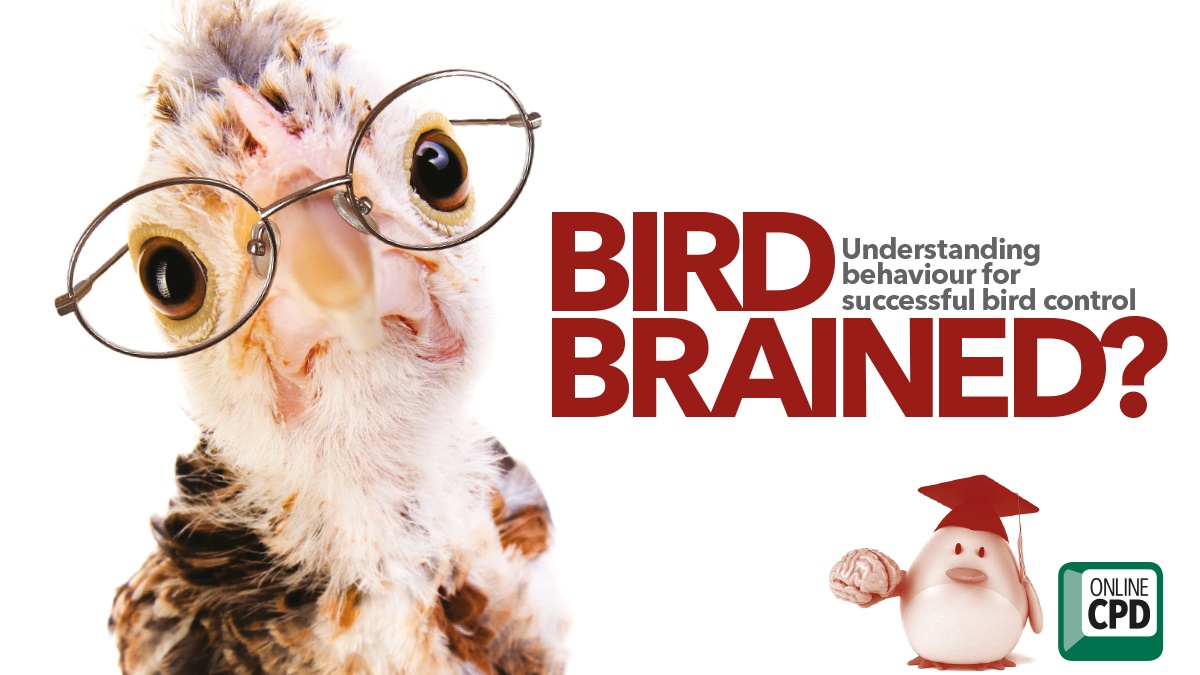 Understanding behaviour for successful bird control Understanding behaviour for successful bird control
